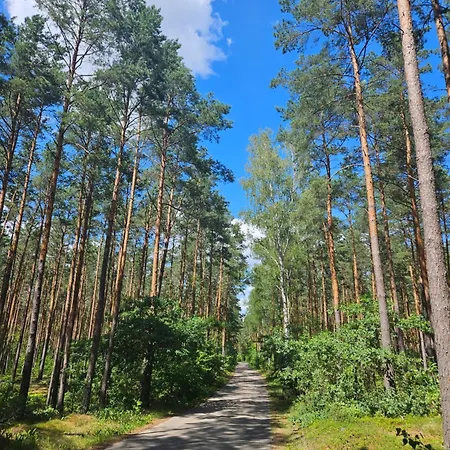 Dom Z Linia Brzegowa Narwi 2 Pultusk