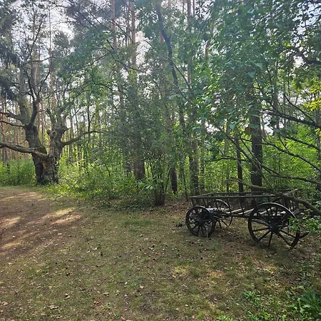 Dom Z Linia Brzegowa Narwi 2 Ferienhaus Pułtusk